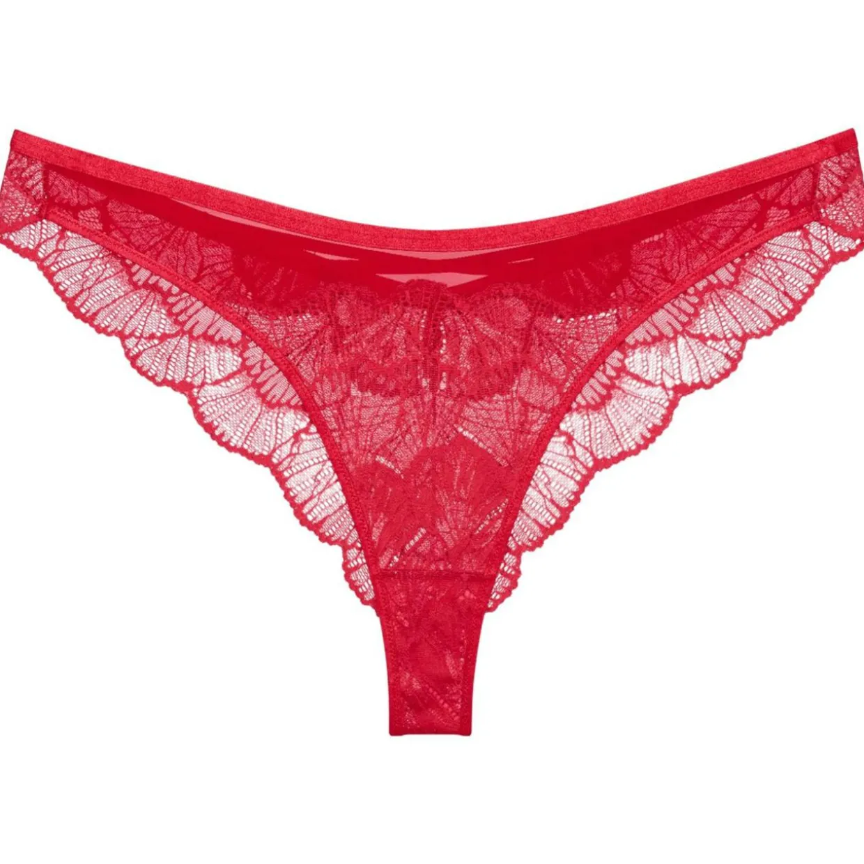 Palina Moonlight Kiss Brazilian