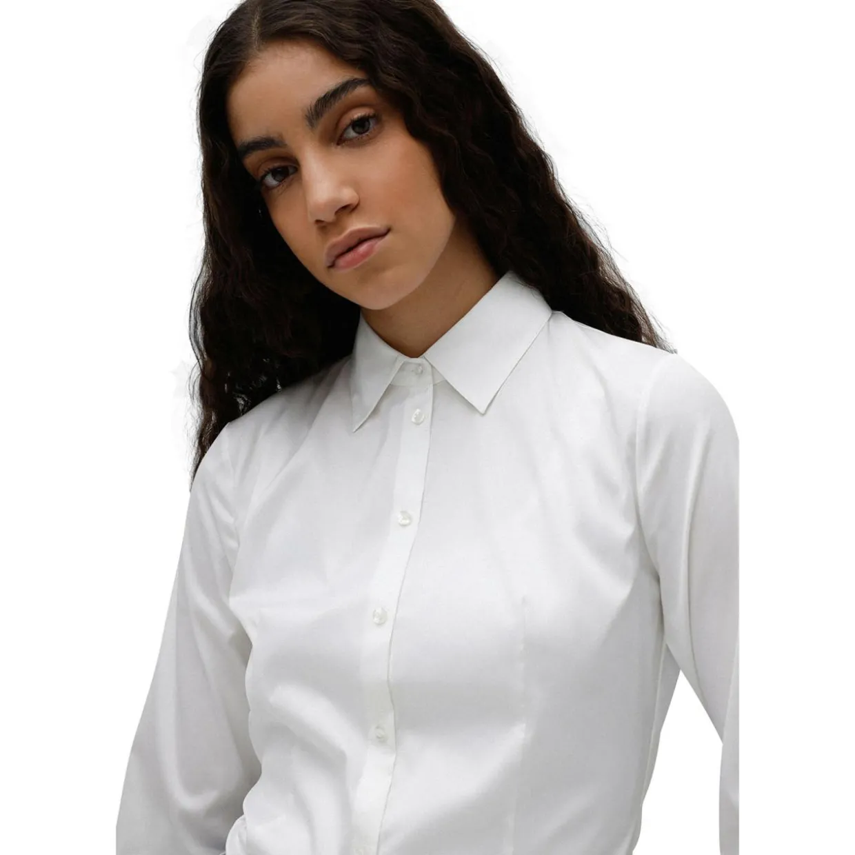 The Fitted Shirt