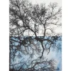 Tuch Foresta