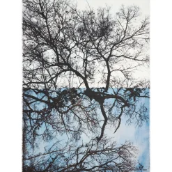 Tuch Foresta