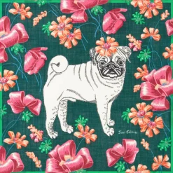 Tuch Toutou